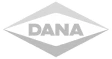DANA INDUSTRIAS LTDA 1